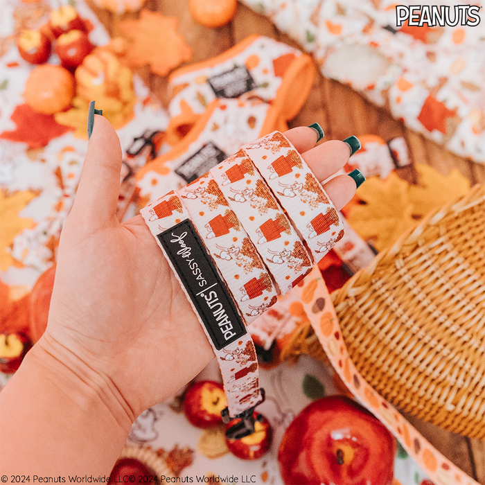 A hand holds the Sassy Woof Dog Collar Three Piece Bundle - Peanuts™ Harvest, featuring Snoopy and autumn leaf designs. Fall decorations, including leaves and small pumpkins, are scattered on a woven surface in the background.