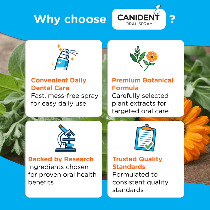 Promotional graphic for Canident Oral Spray with features and benefits on a blue background with plants.
