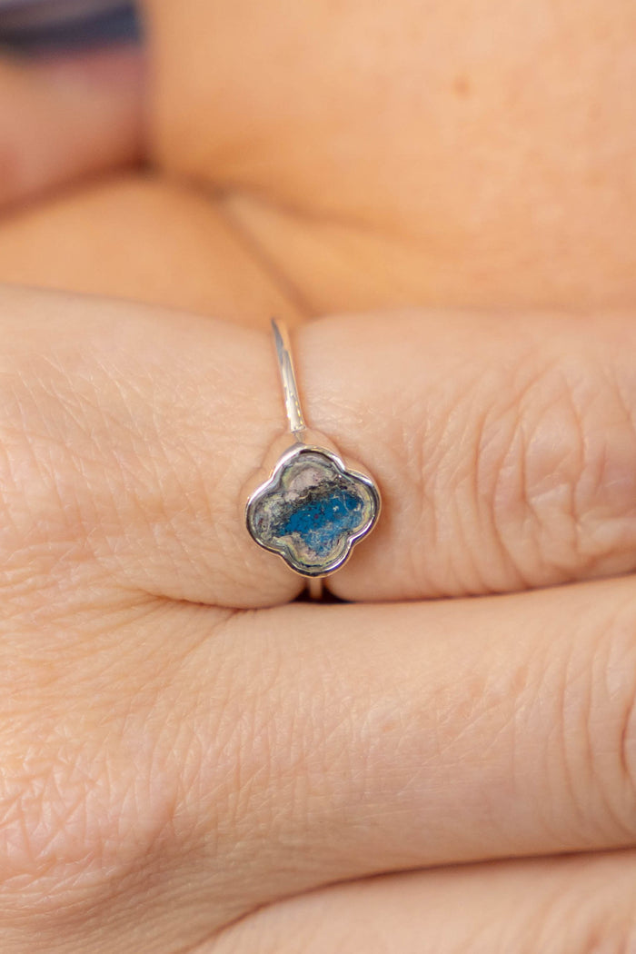 Dani Ring | Silver