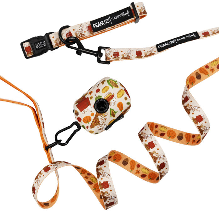 Dog Collar Three Piece Bundle - Peanuts™ Harvest by Sassy Woof features an autumn-inspired design with Snoopy, pumpkins, and leaves in orange, brown, and white—perfect for adding seasonal flair to your dog's walk.