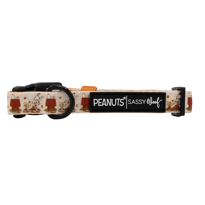 Introducing the Dog Collar Three Piece Bundle - Peanuts™ Harvest by Sassy Woof—a tan collar from the Peanuts Collection featuring autumn leaves and Snoopy designs, with a black buckle, orange accent, and PEANUTS and SASSY WOOF labels. Perfect for pups covered under our Puppy Growth Pawtection Plan.