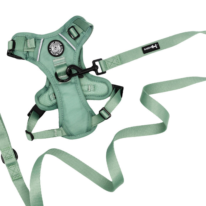 The Sassy Woof Dog Two Piece Bundle - Sage is shown on a white background. This stylish set features an adjustable harness, matching leash, black clasp, metal ring, and a round patch with text.