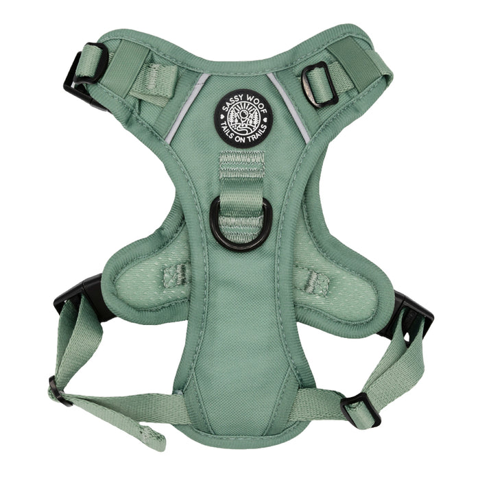 The Sassy Woof Dog Two Piece Bundle - Sage features adjustable straps, black buckles, a circular center ring, and a round logo patch—perfect for pairing with matching sage green dog accessories or leash.