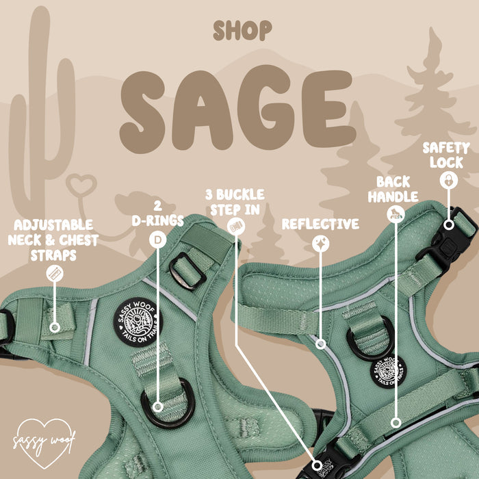 The Sassy Woof Dog Two Piece Bundle - Sage features a sage green harness with adjustable straps, dual D-rings, three-buckle step-in closure, reflective strips, back handle, safety lock—ideal for stylish pets. “Shop Sage” desert background.
