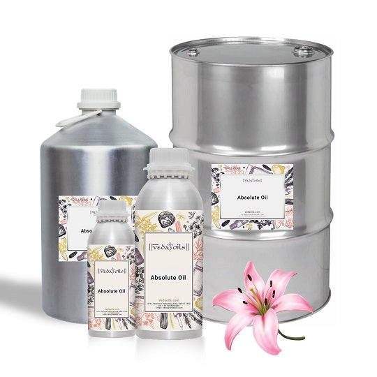 Lily Absolute Oil Bulk