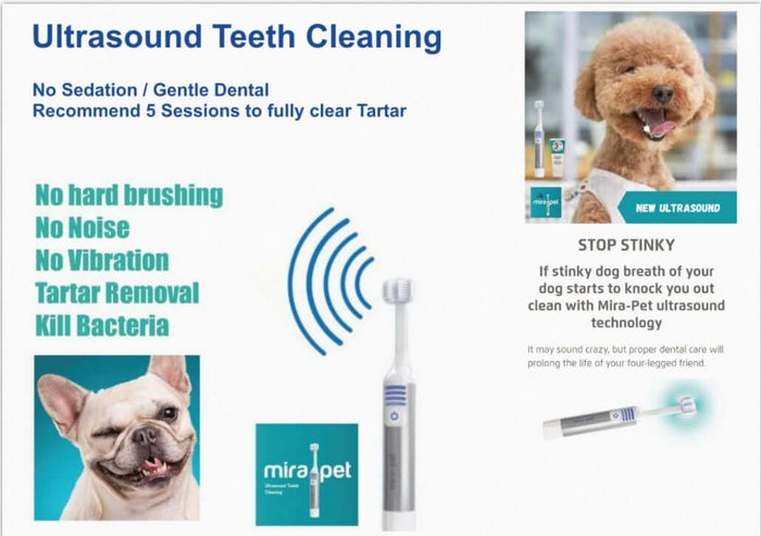 Mirapet Marketing Postcards