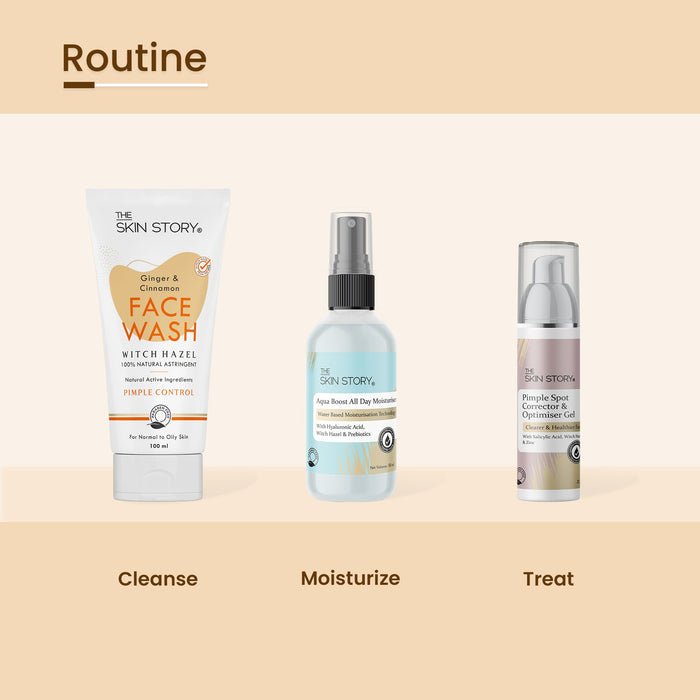 Pimple & Acne Corrector Gel - The Skin Story -