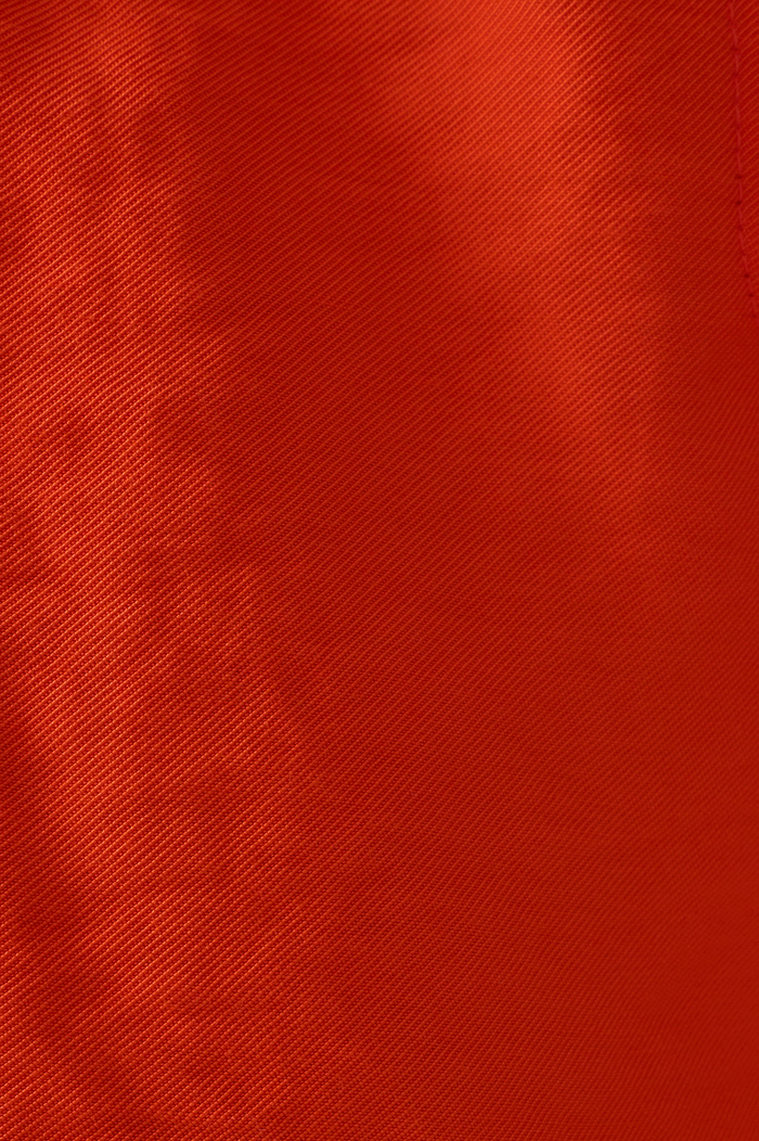 Red Side Pockets Pleated Shorts_6