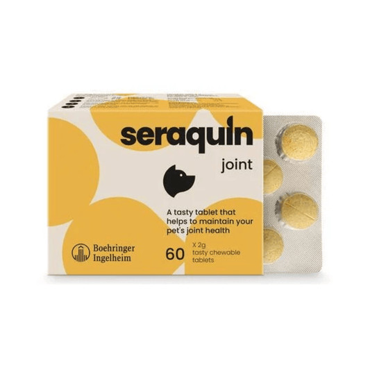 White background with a yellow and cream box of Seraquin Joint supplement. On the packet is a silhouette of a dog's head with additional text 'A tasty tablet that helps to maintain your pet's joint health.'