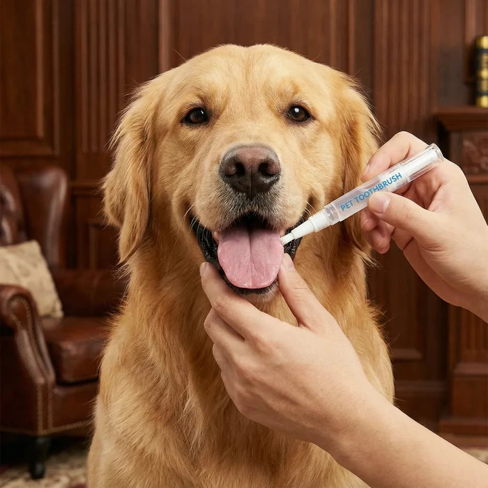 SmileSprint™ — Turn Pet Dental Care into Happy, Fresh-Smiling Moments Every Day